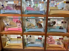 -宠物兔专门店(天丰利市场店)