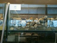 android_upload_pic-洲际酒店·地平线全日餐厅HORIZON CAFÉ