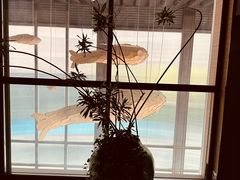 大堂-红鼎豆捞·非遗鲍皇汤火锅(宝丰路店)