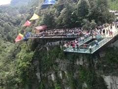 -梦幻奥陶纪景区