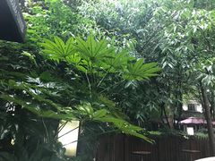 -西湖天地