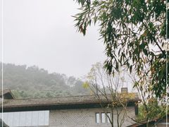 -都江堰中华大熊猫苑