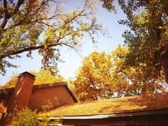 -西安电影制片厂