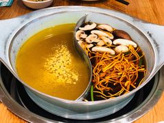 双拼锅底-青瓷火锅料理(西单大悦城店)