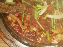 -老板恋上鱼(印象城店)