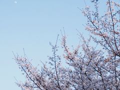 -堤角公园