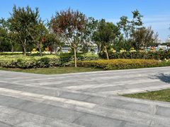 -上海山野camping·户外天幕烧烤·团建拓展营地