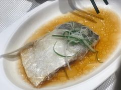 料酒蒸鲥鱼-太湖饭店·寄畅轩中餐厅