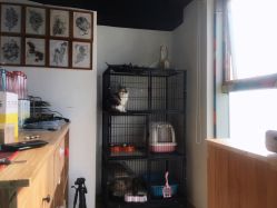 -英刺青 纹身 洗纹身