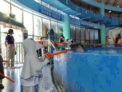 -海合安武汉极地海洋公园