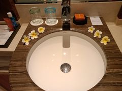 -西双版纳融创皇冠假日度假酒店