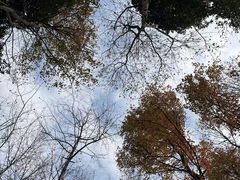 -午潮山国家森林公园