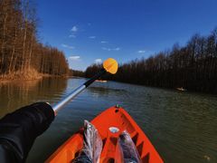 -上海海湾国家森林公园