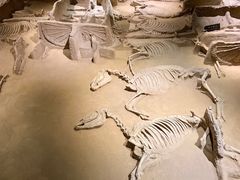 -洛阳周王城天子驾六博物馆