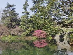 -西湖游船