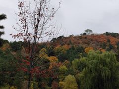 -香山公园