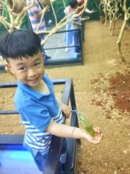 点击看大图 -酷嗒动物文化乐园(cutezoo西溪乐天城店)