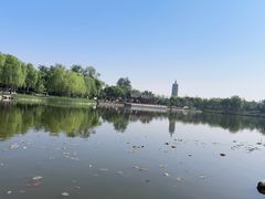 -西海子公园