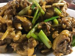 -生态苑农庄(十里画廊遇龙河店)