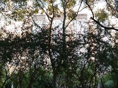 -怡廊(上海漕河泾万丽酒店)