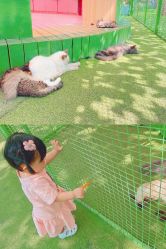 -萌宠亲子动物乐园(槐房万达店)