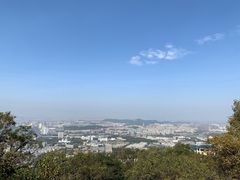 -紫金山山顶公园