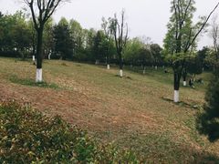 -鹦鹉寺公园