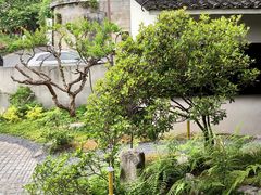 -杭州西湖风景名胜区-满觉陇四眼井