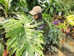 -国家植物园南园