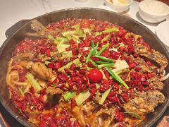 -老板恋上鱼(高新万达店)