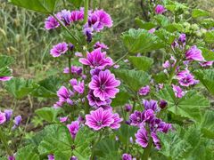 -宜昌富力皇冠假日酒店·咖啡1号西餐厅