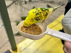-上海大自然野生昆虫馆(东方明珠·爬宠昆虫探索中心)