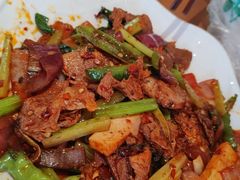 -青城甲(青城山店)