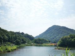 -广州市石门国家森林公园