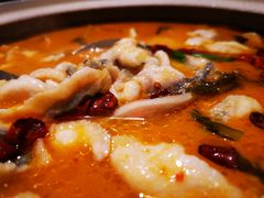 -金佬馆·川菜bistro(芜湖镜湖万达店)