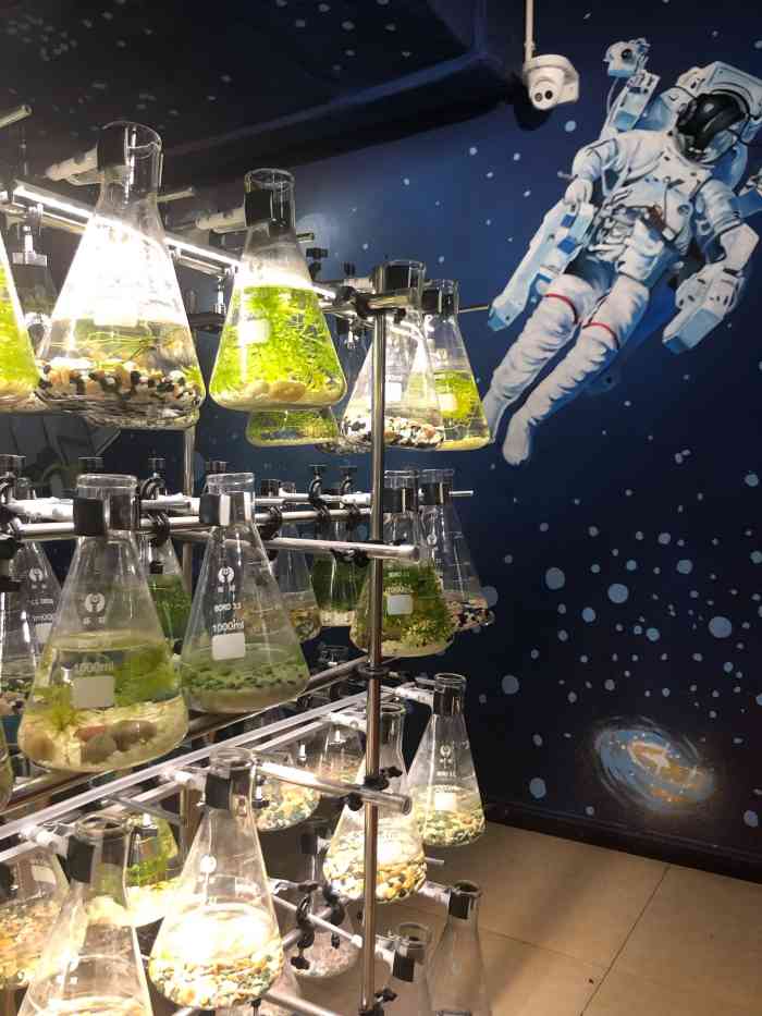 太空梦幻农场(大渡口万达广场店)-"有太空,有农场,有小动物,有结合