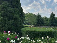 -黑龙江省森林植物园