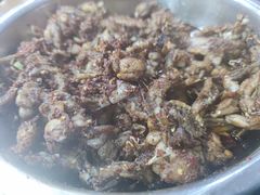 麻辣牛蛙-辣盆盆麻辣小龙虾(哈尔滨总店)