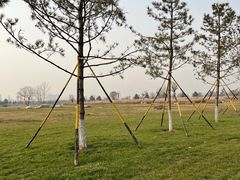 -汉长安城未央宫国家考古遗址公园