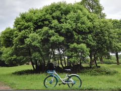 -艾溪湖湿地公园