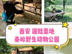 -西安秦岭野生动物园