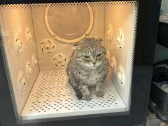 -中农大我爱我爱动物医院·核磁CT·猫病·24小时夜诊中心(石佛营店)