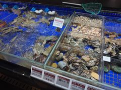 -高佳庄·舟山海鲜(海景旗舰店)