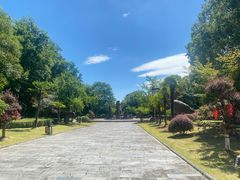 -金钉子远古世界景区