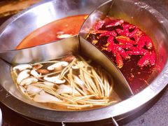 -大龙燚火锅(春熙店)