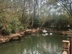 -兰亭风景区