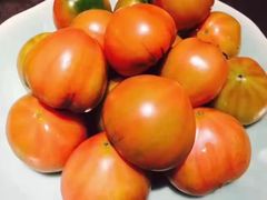 -止观小馆·辽河口渔家菜(王府井店)