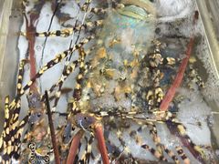 -鲤鱼门海鲜街