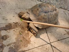 -辛玛王国游乐园