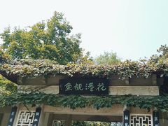 -西湖外事游船(花港观鱼码头)